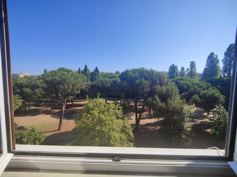 Culla Di Diego Box Auto, Sospesi Nel Cielo! Apartamento Roma